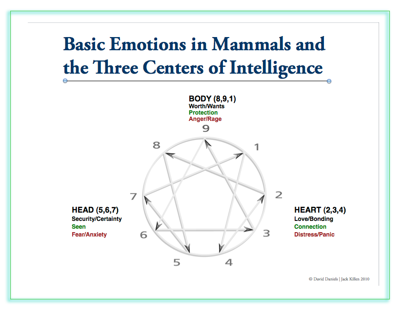 Three (3) Centers of Intelligence for the Enneagram Personality Types; Head, Heart, Gut; David Daniels explanation and advice; Find Your Type