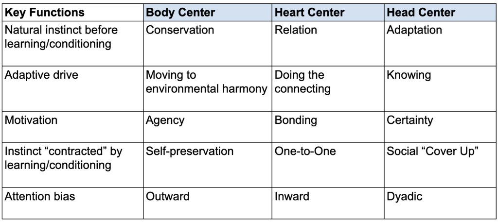 Some Key Functions of the Enneagram's 3 Centers of Intelligence