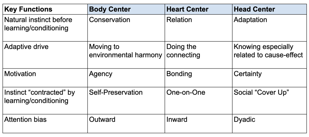 Some Key Functions of the Enneagram's 3 Centers of Intelligence
