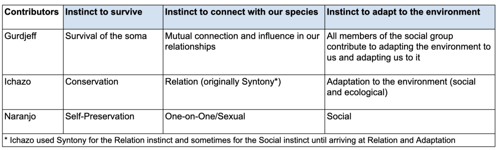 The Enneagram Three Survival Instincts Gurdjieff Ichazo Naranjo