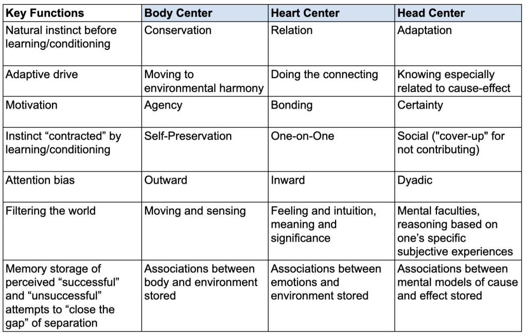 Some Key Functions of the Enneagram's Three Centers of Intelligence